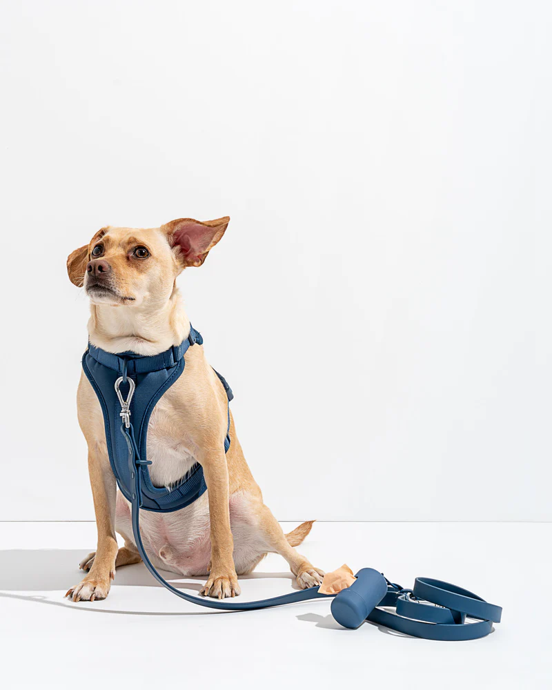 Komplet za sprehod z oprsnico - Navy