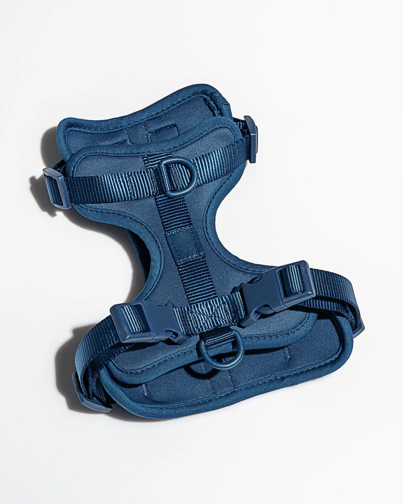 Oprsnica Navy