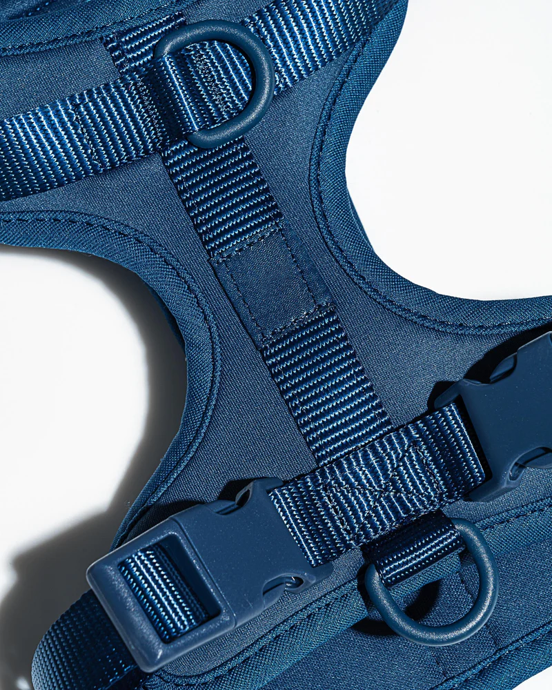 Oprsnica Navy