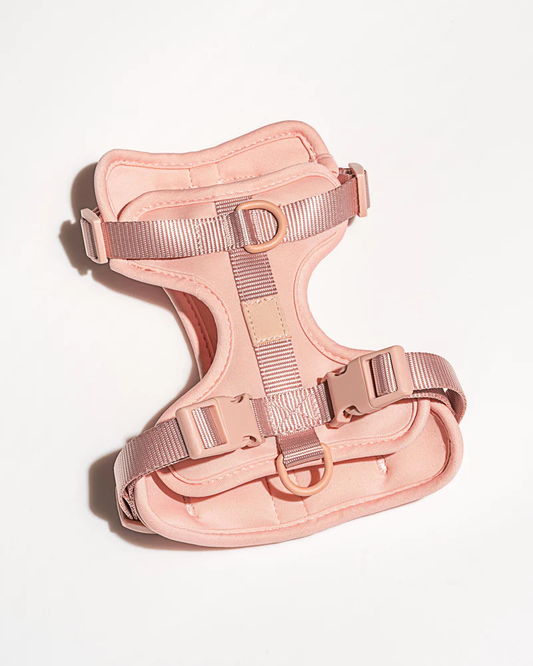 Oprsnica Blush
