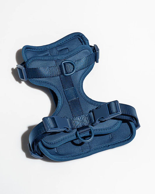 Oprsnica Navy